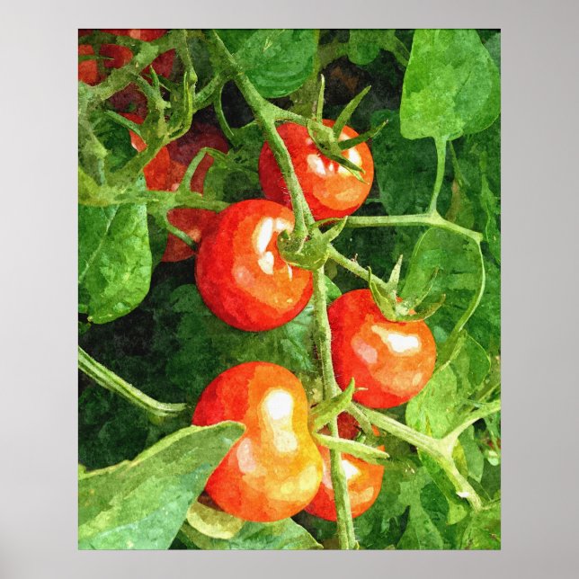 Poster Bunch de tomates (Devant)