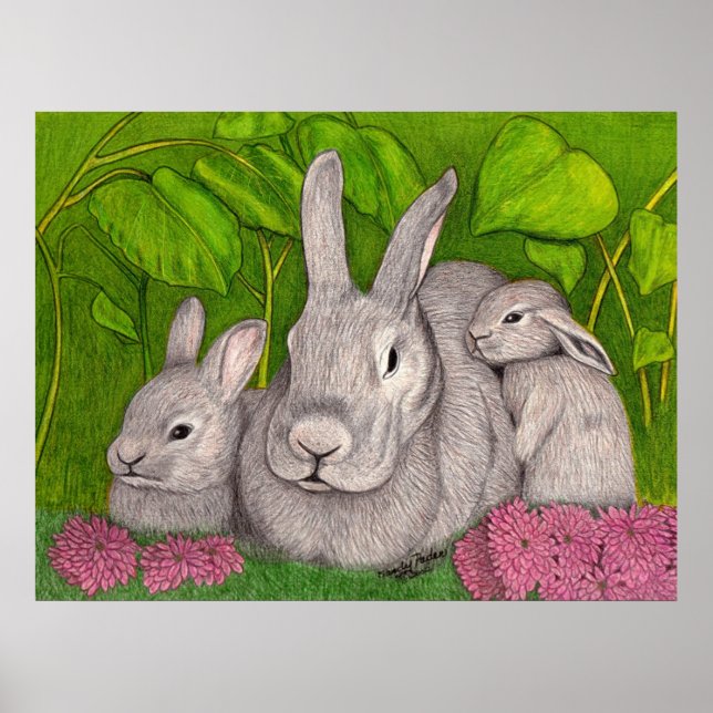 Poster Bunnies (Devant)