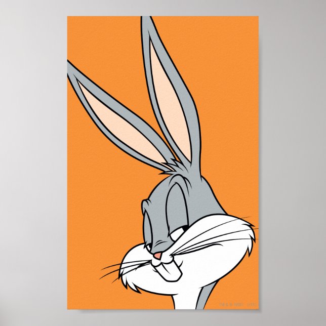 Poster BUNNY™ BUNNY Sideways (Devant)