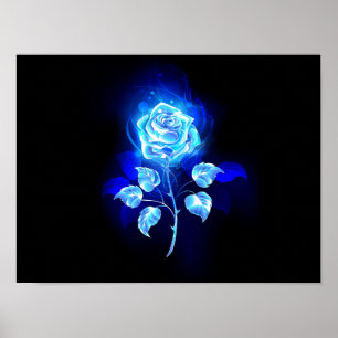 Poster Burning Blue Rose