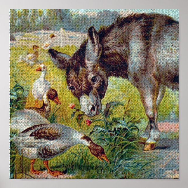 Poster Burro et Oies (Devant)