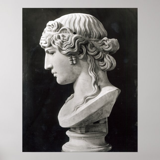 Poster Buste d'Antinous appelé 'Mondragone Antineux' (Devant)