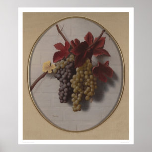 Poster Butin des raisins (1363)