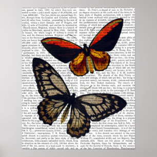 Poster Butterflies 3