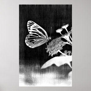 Poster Butterfly Art   Black and White