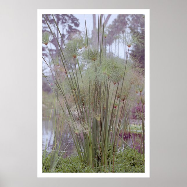 Poster By the Water, Père Noël Barbara (poster) (Devant)