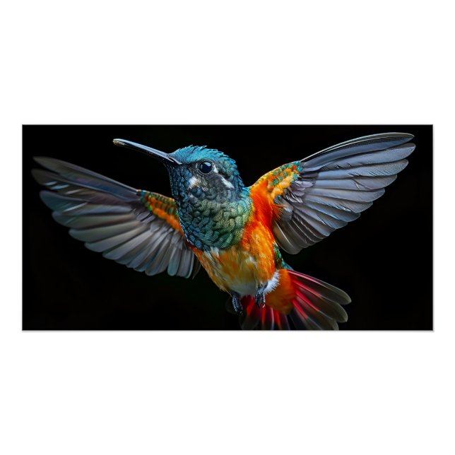 Poster Bye Bye Birdy (Devant)