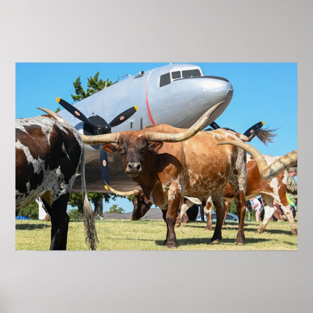 Poster C-47 Skytrain au Texas (Devant)