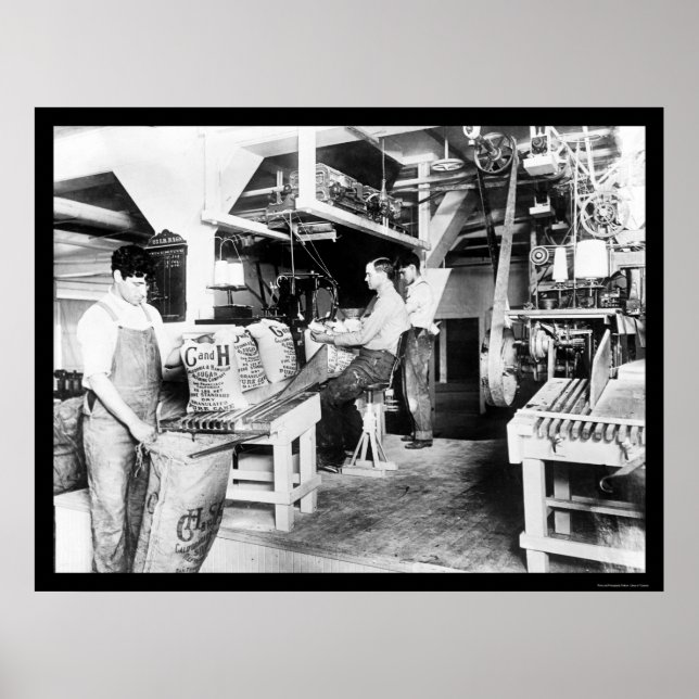 Poster C & H Traitement du sucre 1914 (Devant)