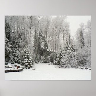 Poster Cabine à Snowfall