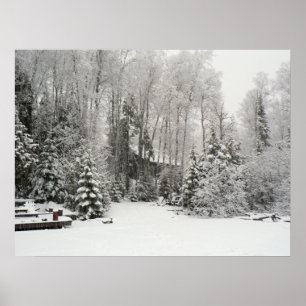 Poster Cabine en chutes de neige