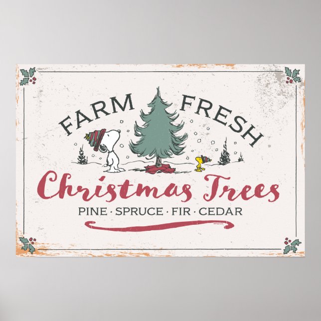 Poster cacahuètes | Arbres de Noël frais de ferme (Devant)