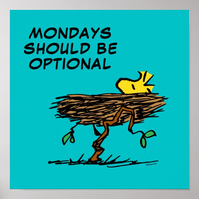 Poster cacahuètes | Carénage de bois (Devant)