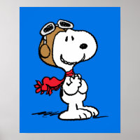 cacahuètes | Snoopy L'As Volant