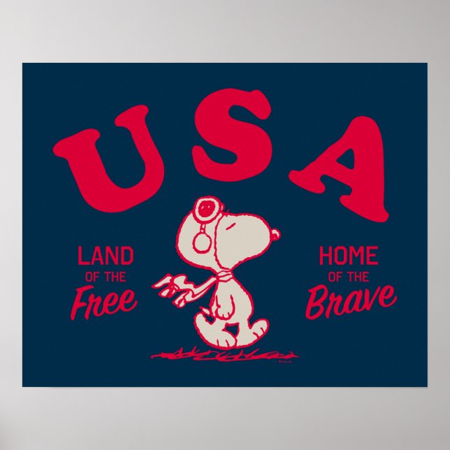 Poster cacahuètes | Snoopy USA Land of the Free (Devant)