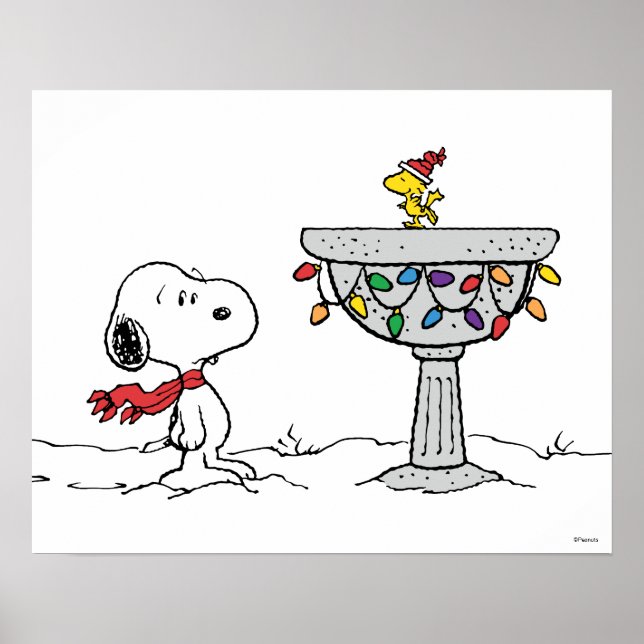 Poster cacahuètes | Snoopy & Woodstock Froid Birdbath (Devant)