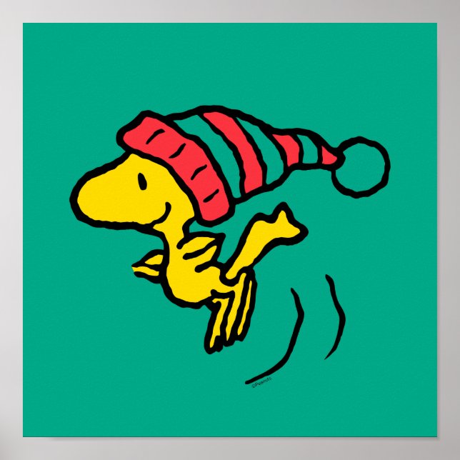Poster cacahuètes | Woodstock Winter Beanie Casquette (Devant)