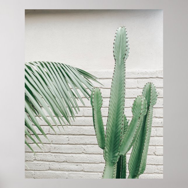 Poster Cactus candelabra vert (Devant)