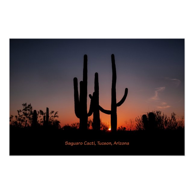 Poster Cactus du Saguaro au coucher du soleil (Devant)