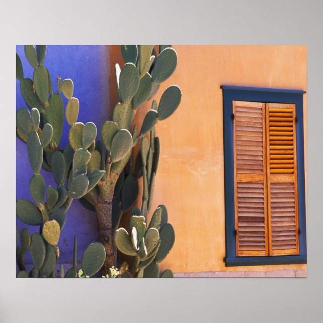 Poster Cactus du sud-ouest (Opuntia dejecta) et (Devant)