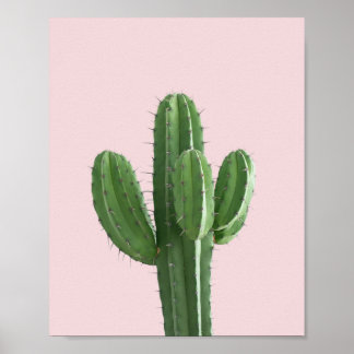 Poster Cactus en rose