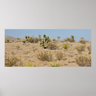 Poster Cactus et plantes de désert