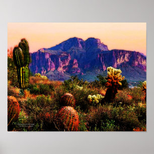 Poster Cactus Et Purple Mountain Arizona Désert 14x11
