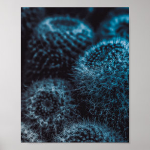 Poster Cactus foncé