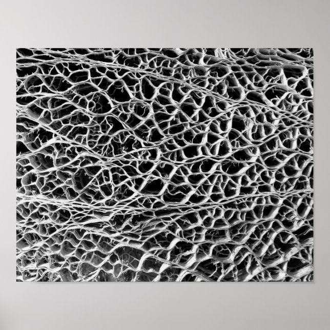 Poster Cactus Skeleton (Devant)