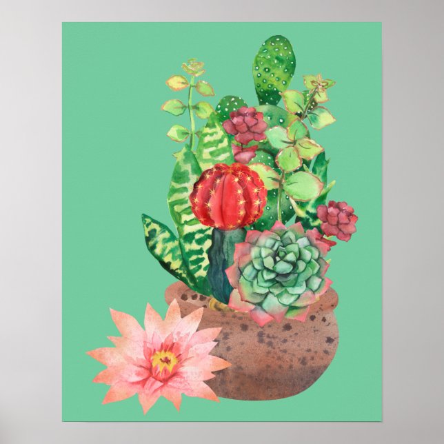 Poster Cactus, Succulents, Fleur de cactus, Arrangement (Devant)