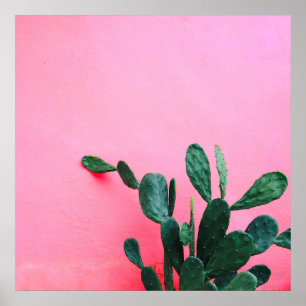 Poster Cactus sur fond rose
