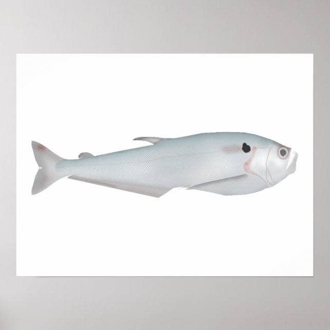 Poster Cacunda (Devant)