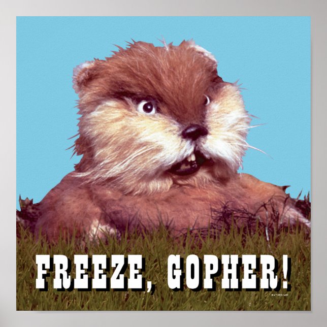 Poster Caddyshack | Freeze, Gopher ! (Devant)
