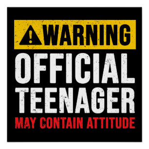 Poster Cadeau d'anniversaire officiel d'adolescent de 13 