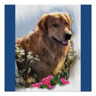 Poster Cadeaux d'art Golden Retriever