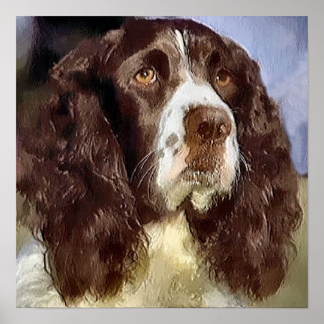 Poster Cadeaux d'art pour English Springer Spaniel (Devant)