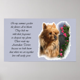 Poster Cadeaux d'art Terrier australien