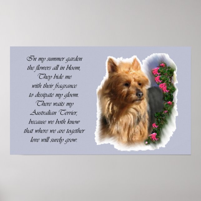 Poster Cadeaux d'art Terrier australien (Devant)