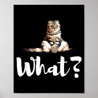 Poster Cadeaux drôles de chatons mignons de chats Scottis