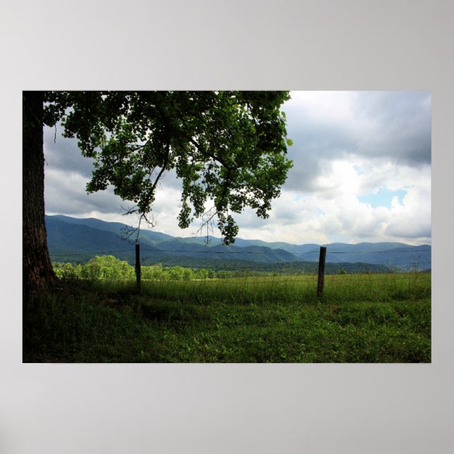 Poster Cade's Cove (Devant)