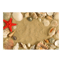 cadre de coquillage