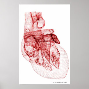 Poster Cadre filaire numérique du coeur humain