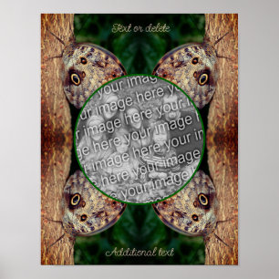 Poster Cadre papillon de hibou Brown Créez votre propre p