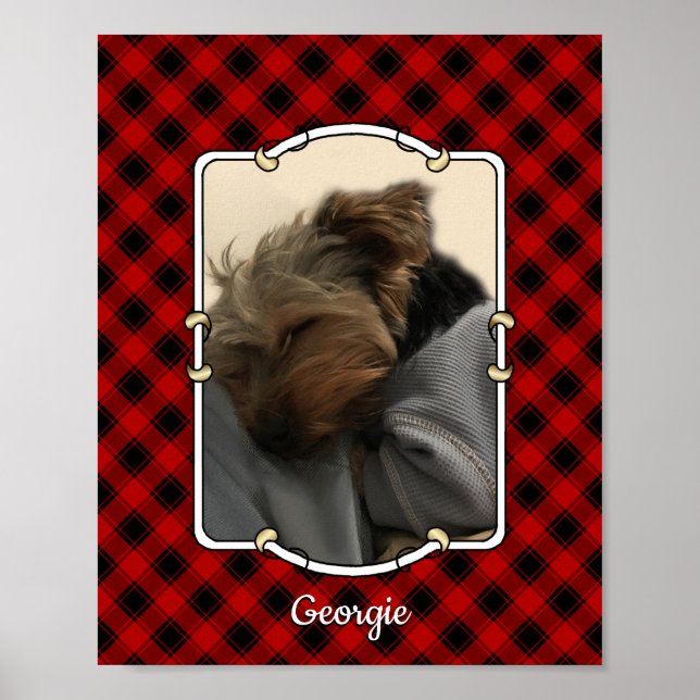 Poster Cadre photo Portrait pour animal de compagnie pers (Devant)