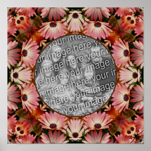 Poster Cadre rose Fleurs de marguerite Créez votre propre
