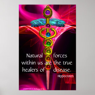 Poster CADUCUS D'OR,7 CHAKRAS, VAGUES FRACTALES ROSES Méd