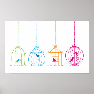 Poster Cages à oiseaux vintages colorées avec les oisea