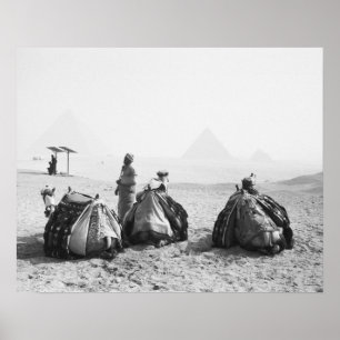 Poster Caire Egypte, Camel Jockeys Giza Pyramides (NR)