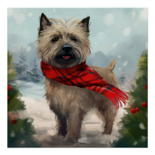 Poster Cairn Terrier Dog dans Noël de neige