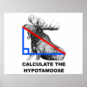 Poster Calculer l'affiche amusante de l'hypotamose